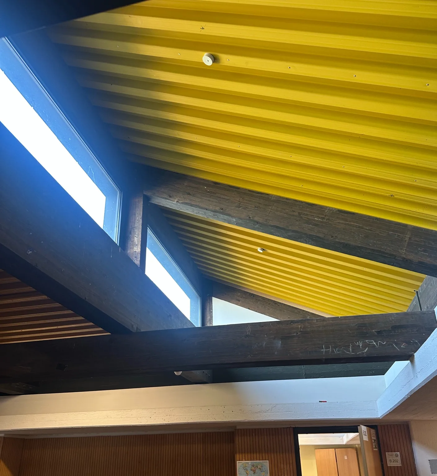 Innenaufnahme einer gelben profilierten Metalldecke mit sichtbaren Holzbalken und Oberlichtern